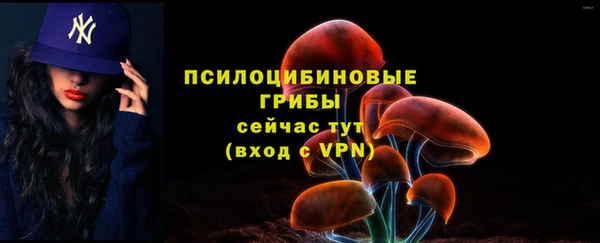 МДПВ Бугульма