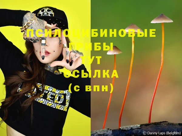 кокаин премиум Бородино