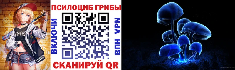 Купить  Котельники  Галлюциногенные грибы прущие грибы 